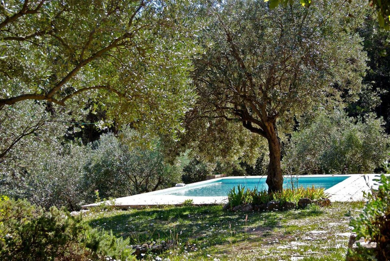 Le Rayol Villa Seillans Kültér fotó